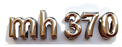 mh 370 logo